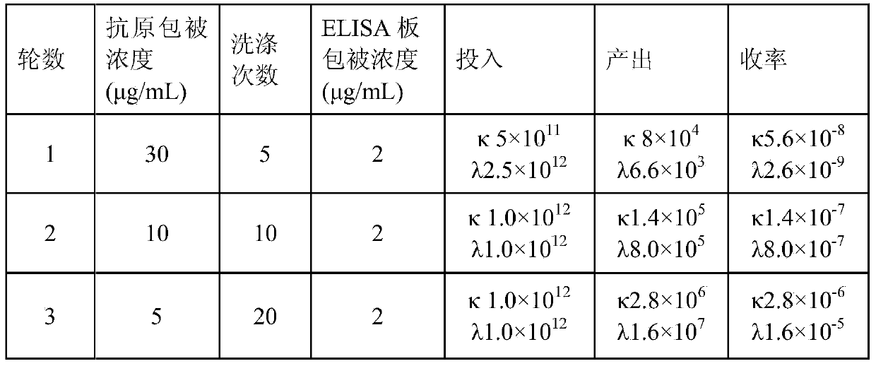 Rabies virus resistant specific humanized antibody and application thereof