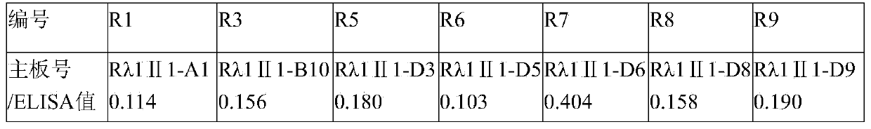 Rabies virus resistant specific humanized antibody and application thereof