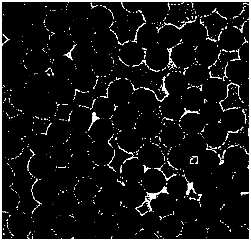 Measurement method for energy level radiation-free relaxation coefficients of sensitized ions and activated ions in ytterbium and erbium co-doped sodium yttrium fluoride nanocrystal