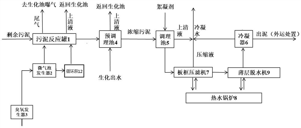 Microbubble ozonation-thin layer drying combined treatment device and method for excess sludge