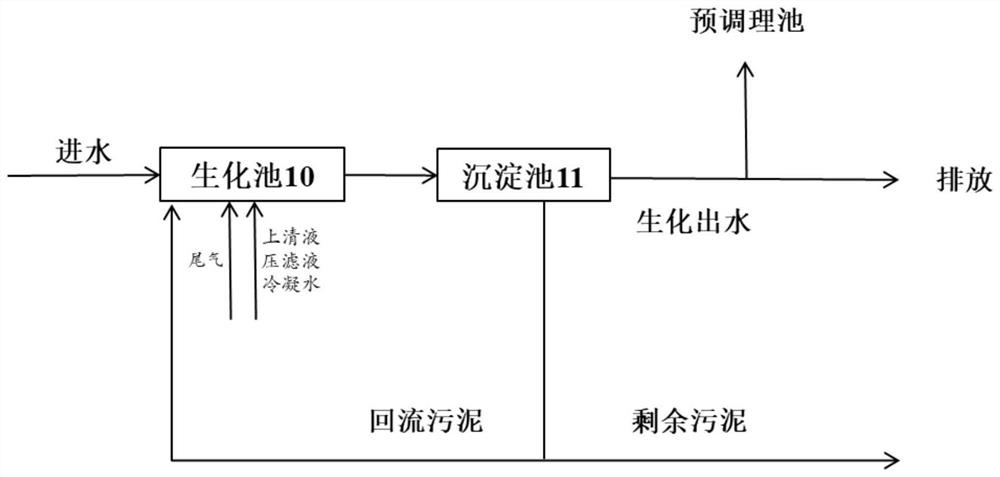 Microbubble ozonation-thin layer drying combined treatment device and method for excess sludge