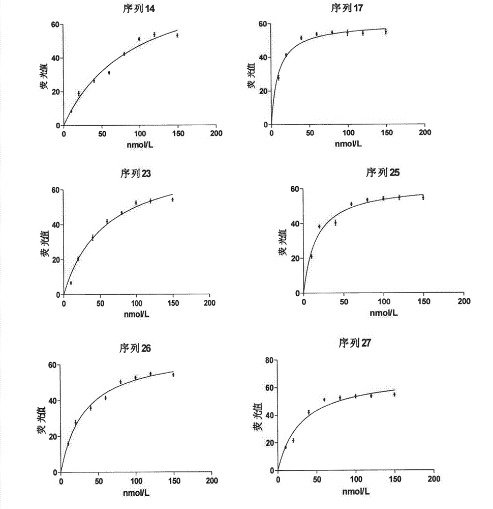 Group of oligonucleotide aptamers for specifically identifying aflatoxin B2