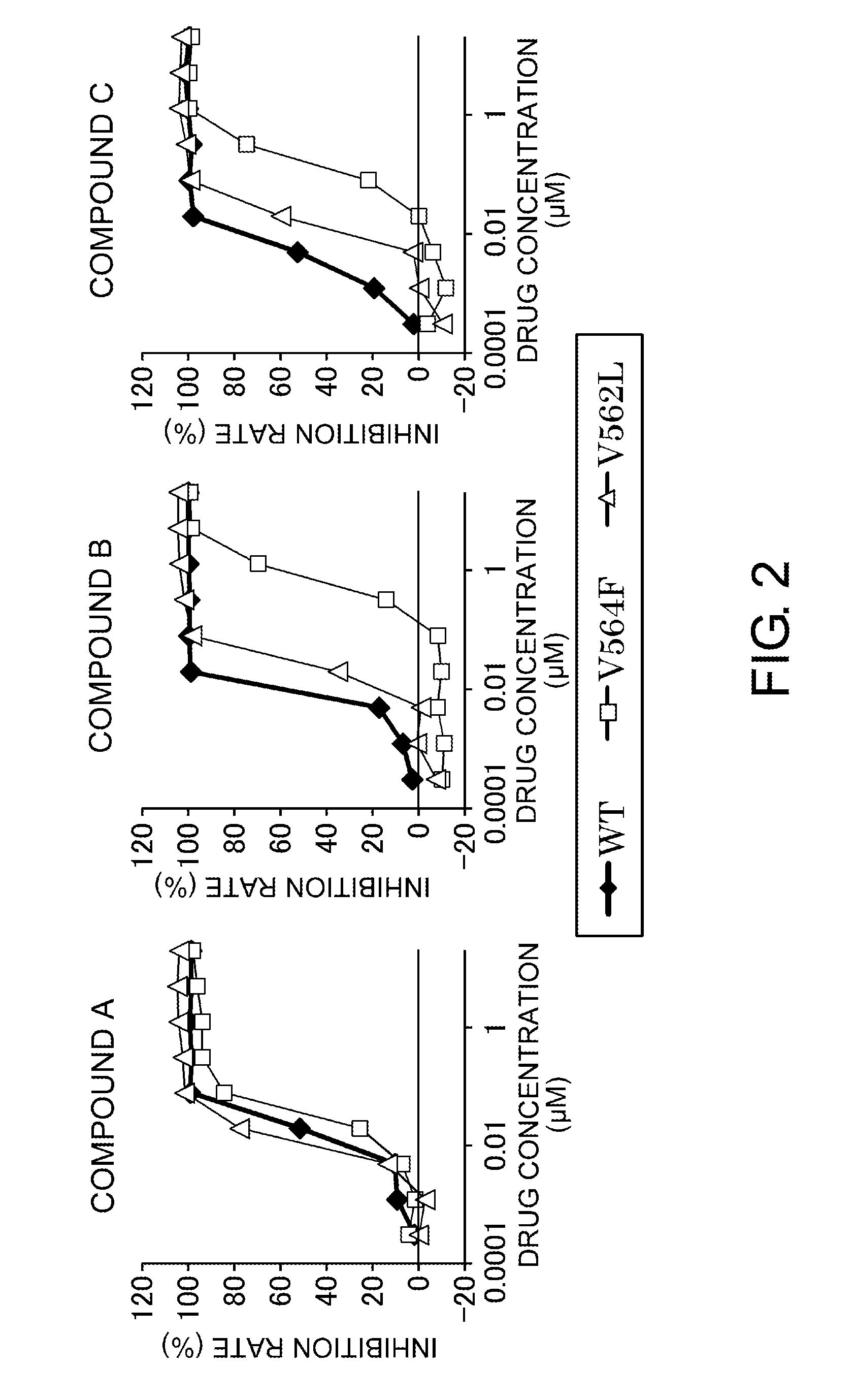 FGFR gatekeeper mutant gene and drug targeting same