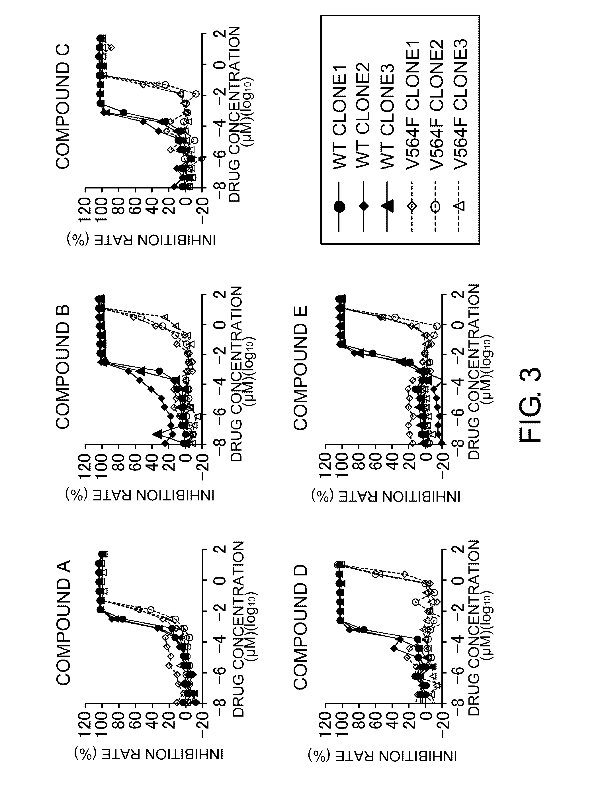 FGFR gatekeeper mutant gene and drug targeting same