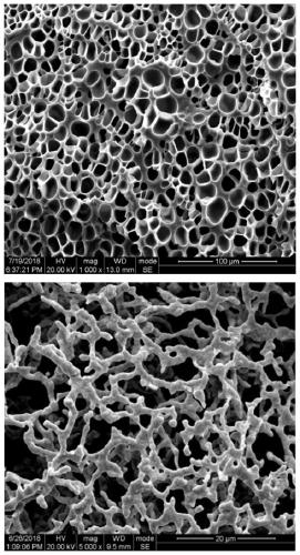 Method for preparing foamed silver catalyst based on supercritical carbon dioxide foaming technology