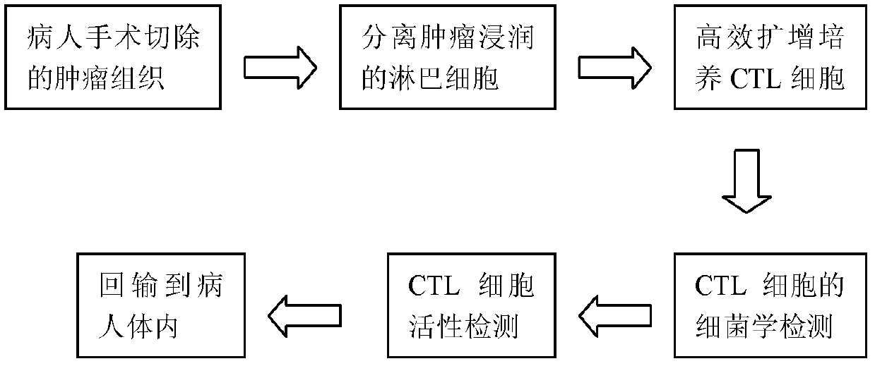 High-efficiency amplification culture solution for tumor infiltration lymphocytes