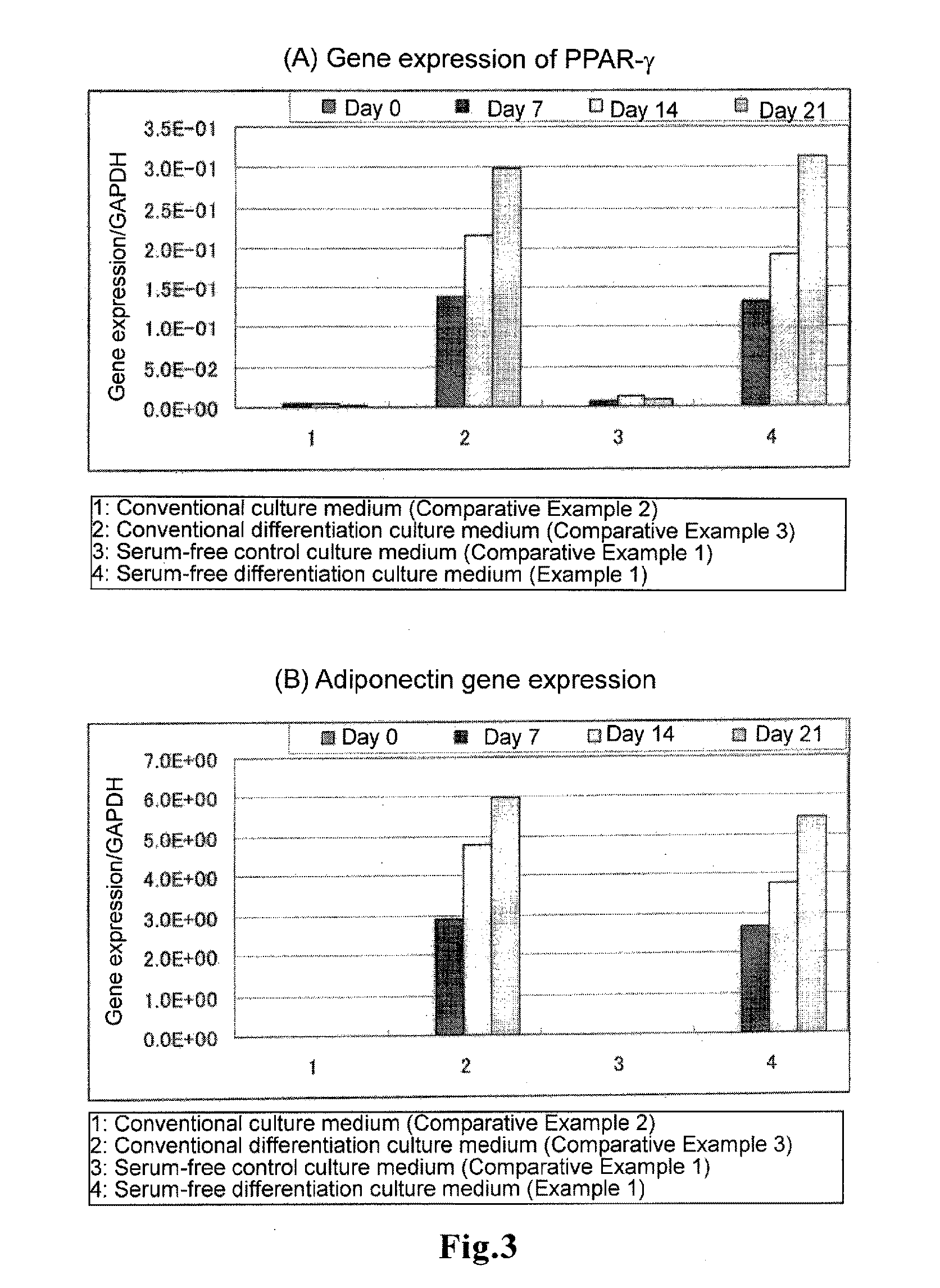 Culture medium and method for inducing differentiation into adipocytes