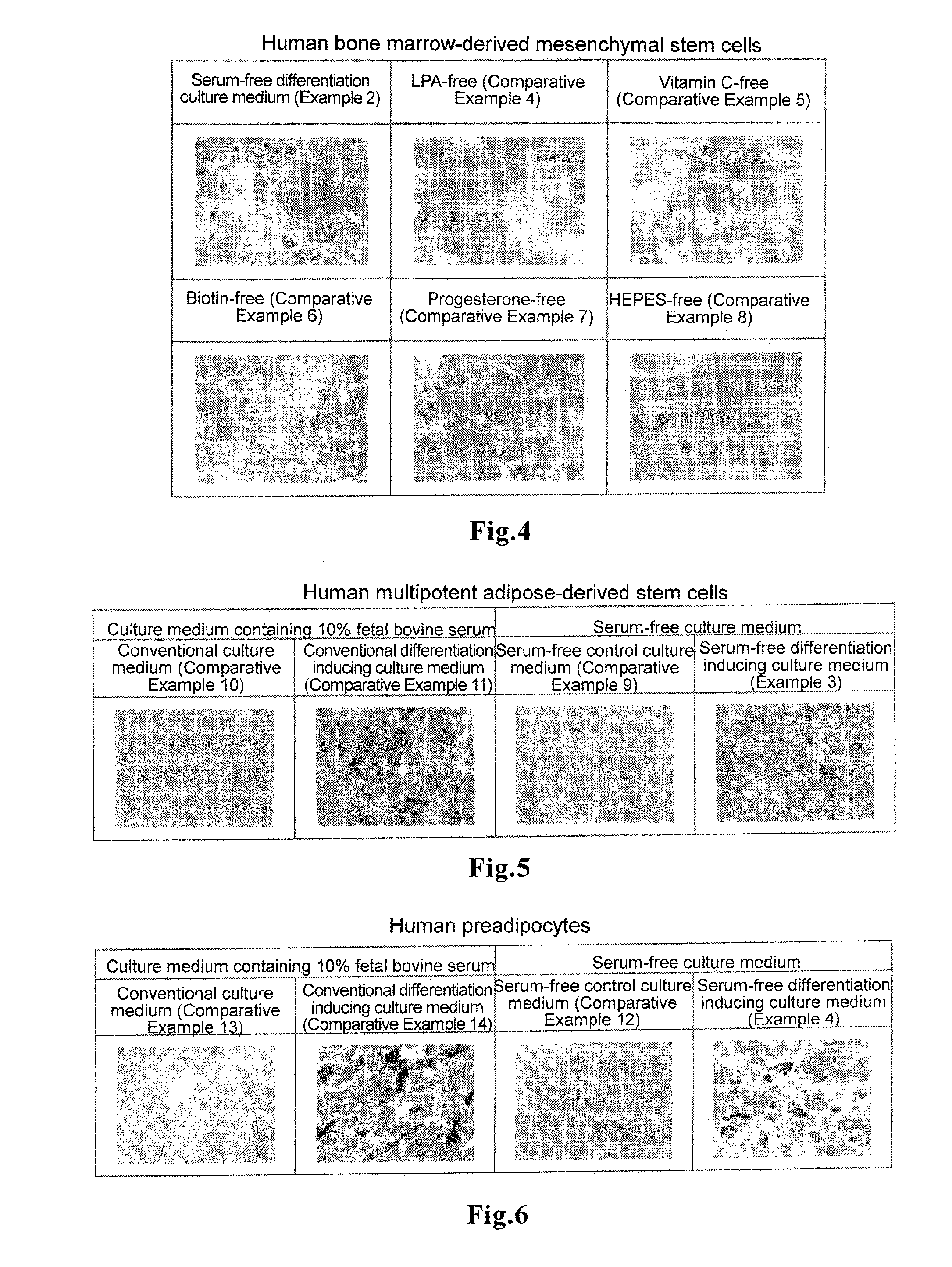 Culture medium and method for inducing differentiation into adipocytes