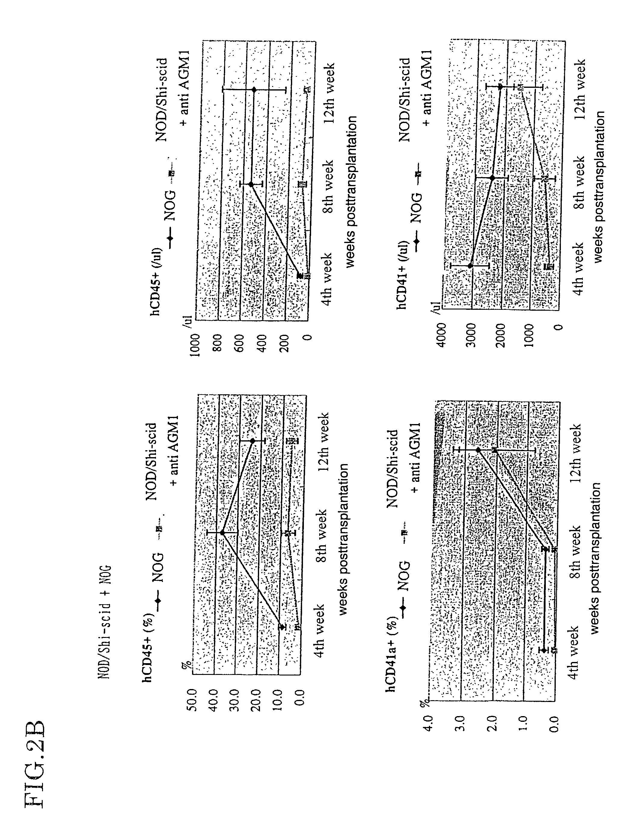 Method of producing a mouse suitable for the engraftment, differentiation and proliferation of heterologous cells, mouse produced by this method and use of the mouse