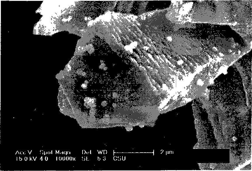 High heat-conductive diamond-copper composite encapsulating material and method for making same