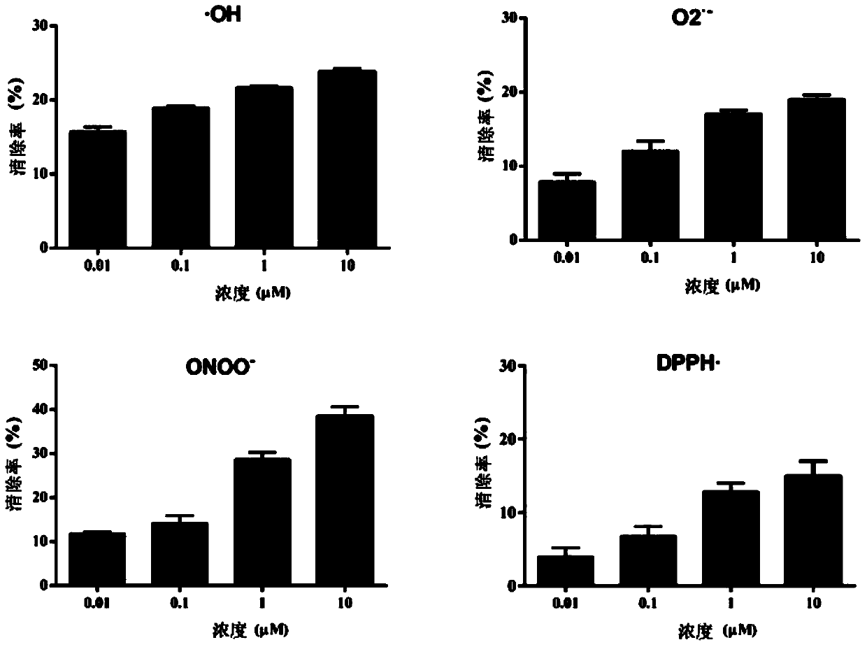 Application of andrographolide derivatives in preparing medicaments for preventing and treating neurodegenerative diseases