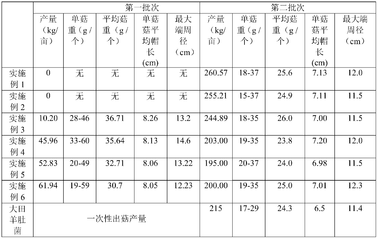 High-efficiency high-yield planting method of interplanting of healthcare dendrocalamus latiflorus forest and morchella