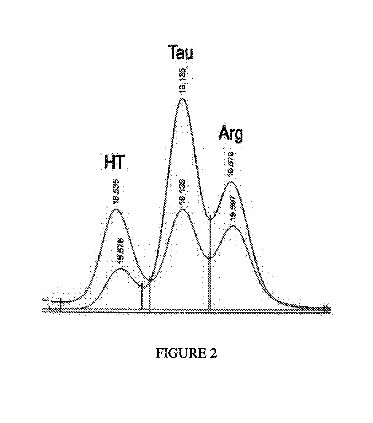 Algal and fungal genes and their uses for taurine biosynthesis in cells