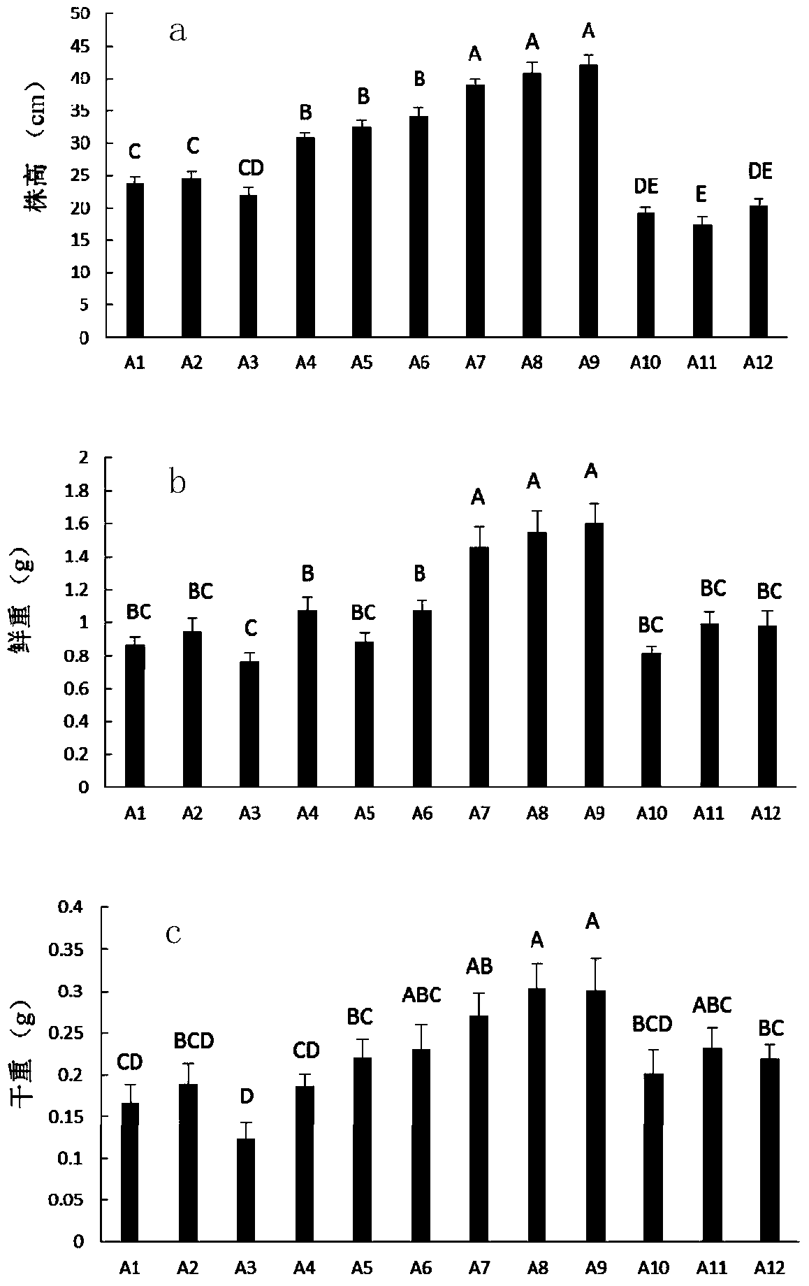 Alfalfa seed rhizobia seed coating agent and applications thereof