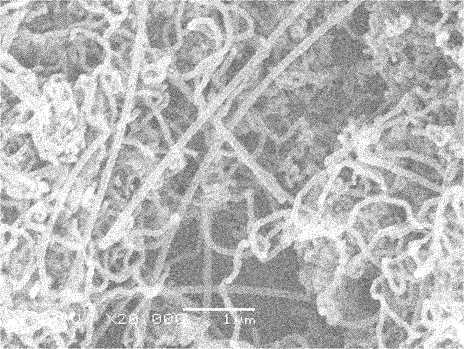 Method for preparing multi-walled carbon nanotubes from phthalocyanine iron polymer by high temperature solid-phase cracking