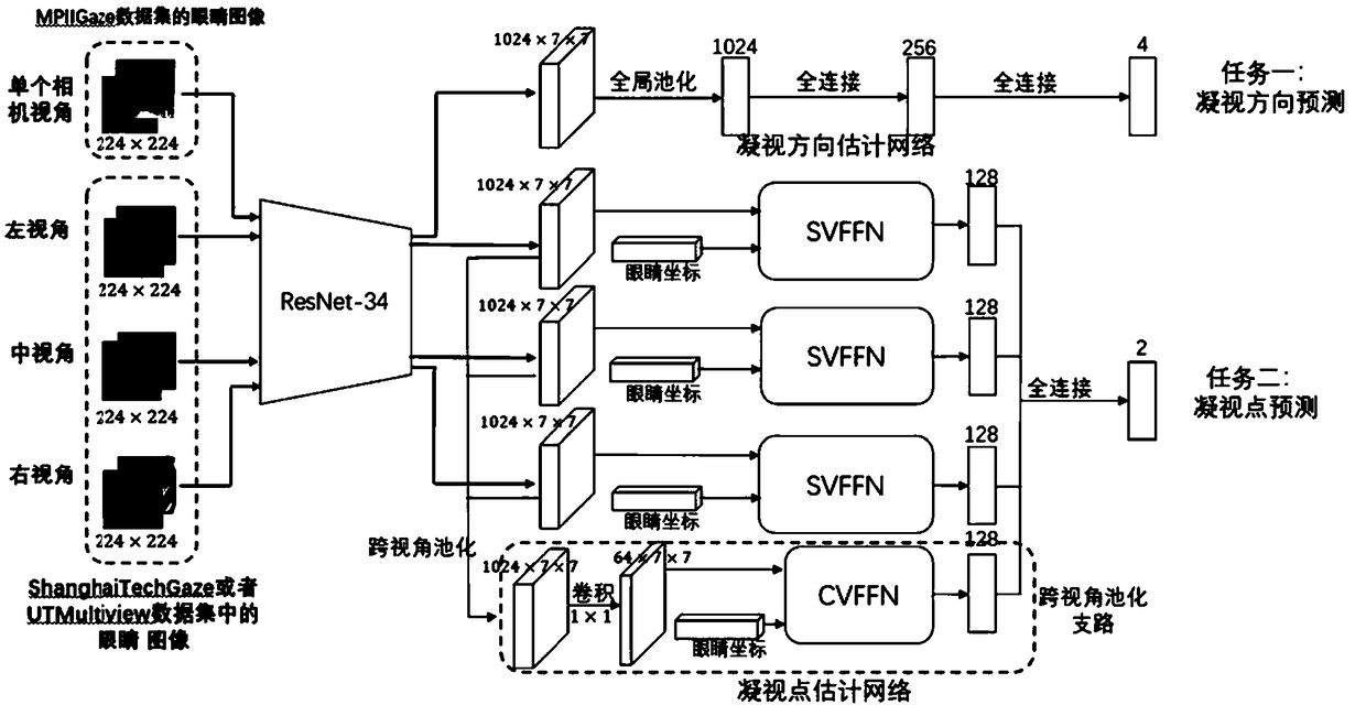 Gaze point estimation method and system, storage medium and terminal