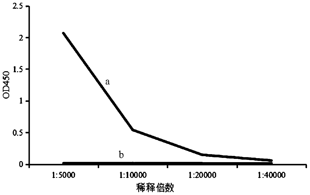 Method for detecting estrogen pollutions in water body based on recombined Bostrychus sinensis Vitellongenin and application