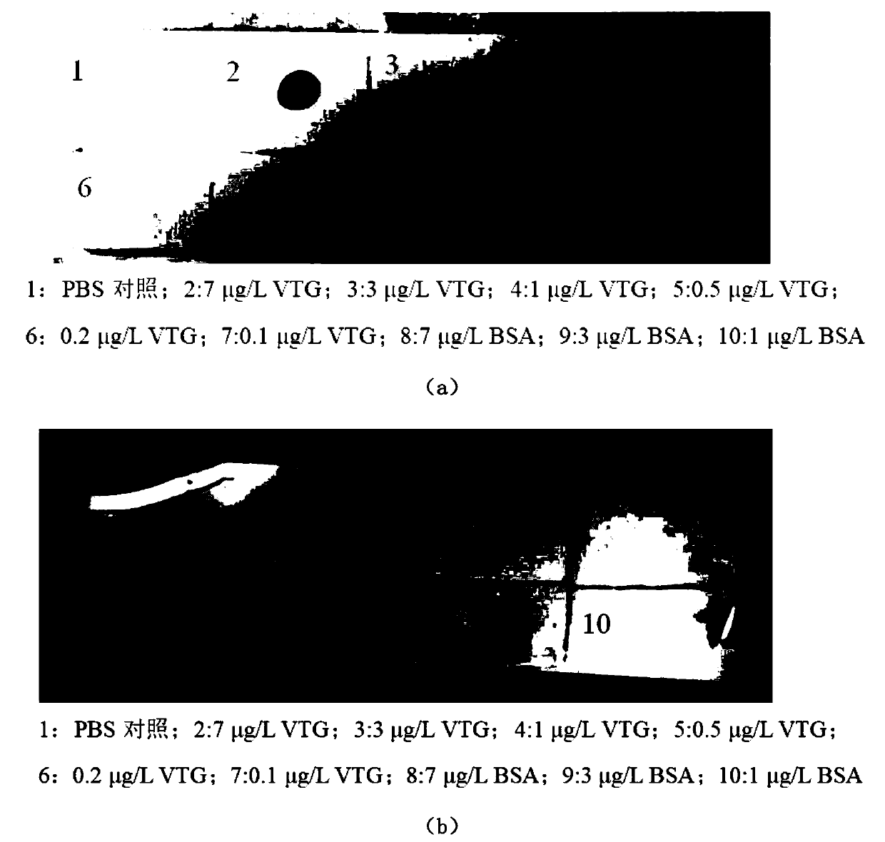 Method for detecting estrogen pollutions in water body based on recombined Bostrychus sinensis Vitellongenin and application