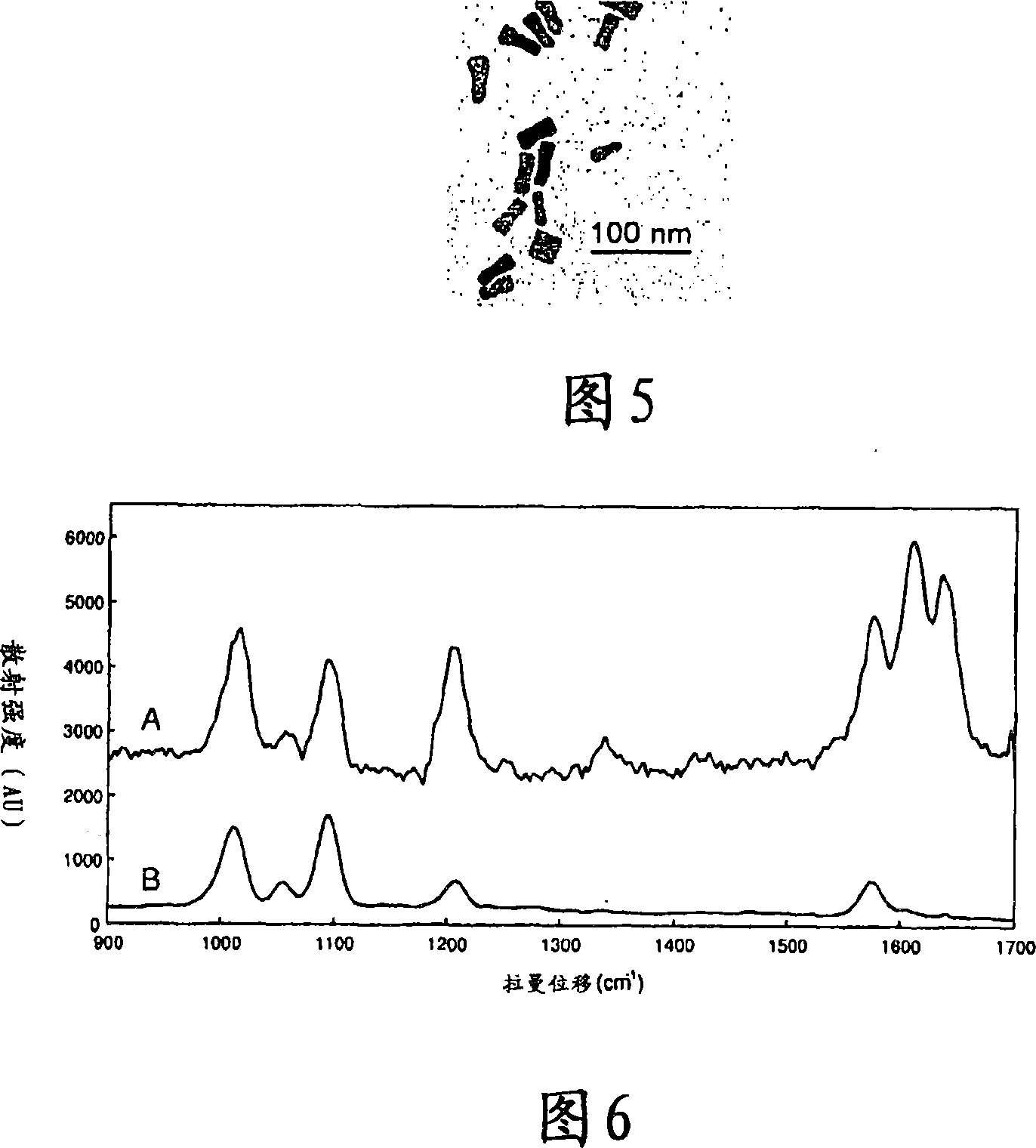 Surface enhanced spectrometry-active composite nanoparticles