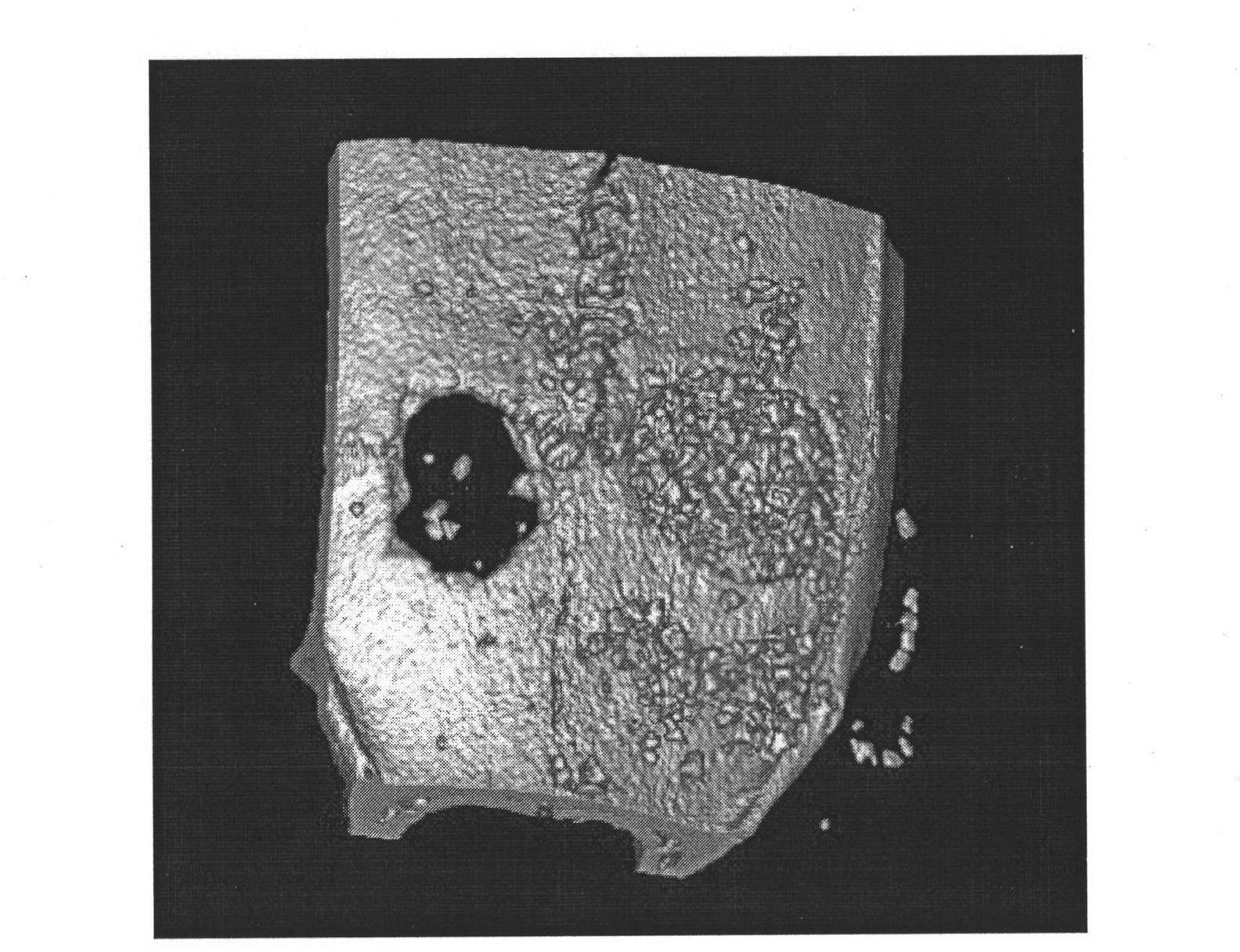 Preparation method of natural bone repairing material with pre-plasticity