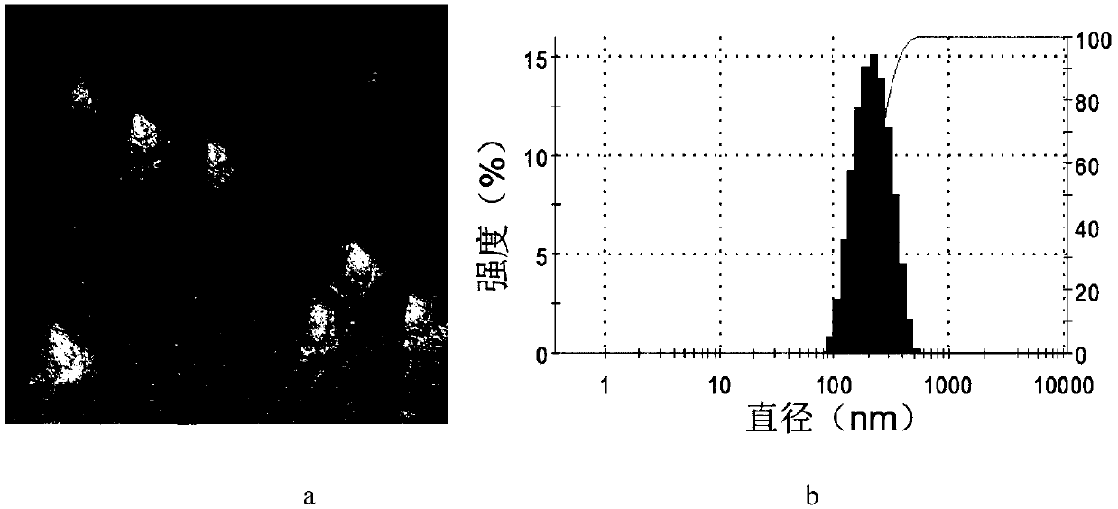 Preparation method of nano delivery system between targeted redox-sensitive co-load chemotherapeutic drugs and P-gp resistance reversal agents