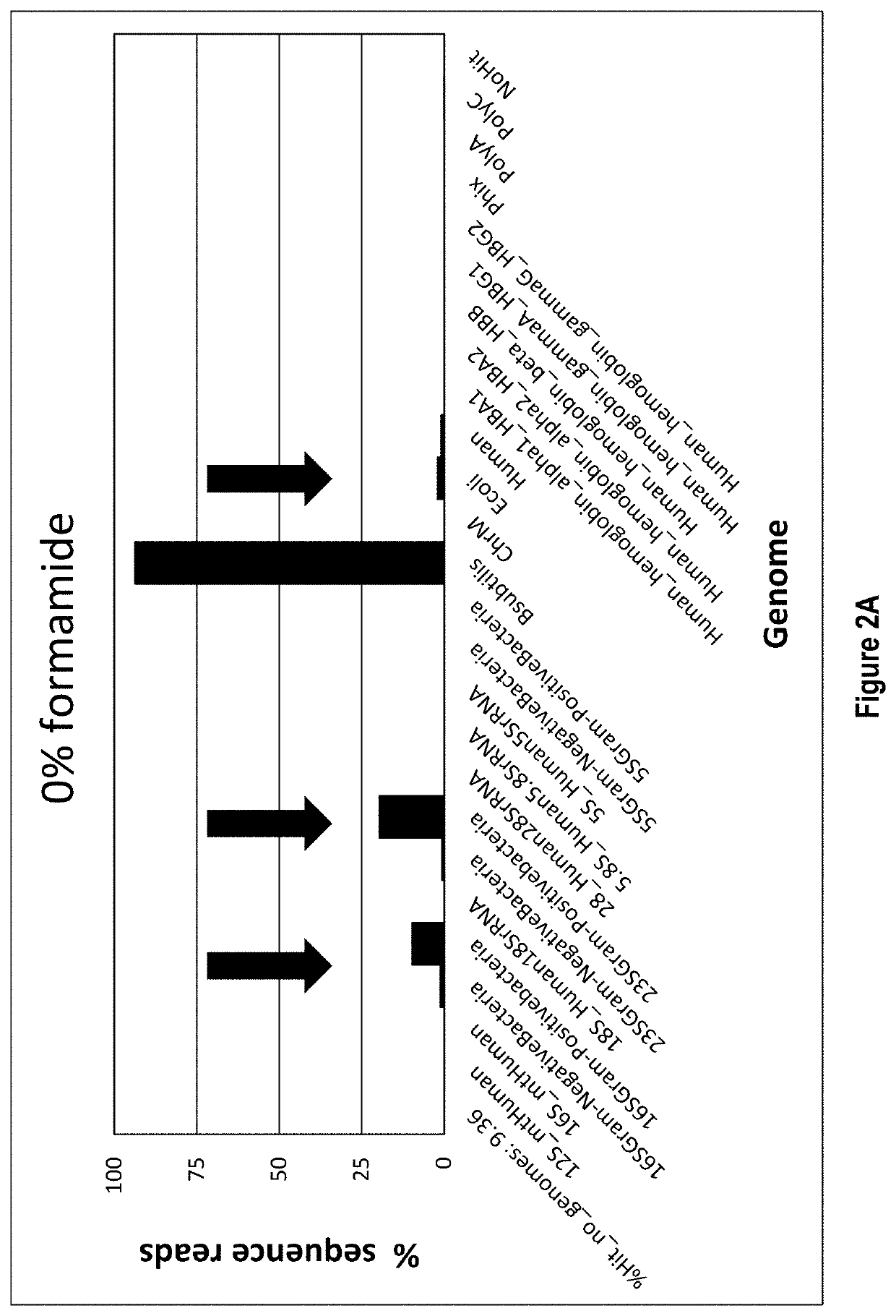 Nuclease-based RNA depletion