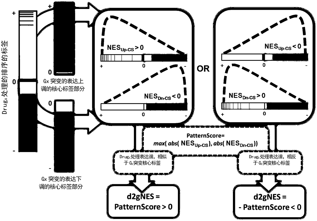 Cancer genome and non-specific gene tag-based large-scale drug relocation method