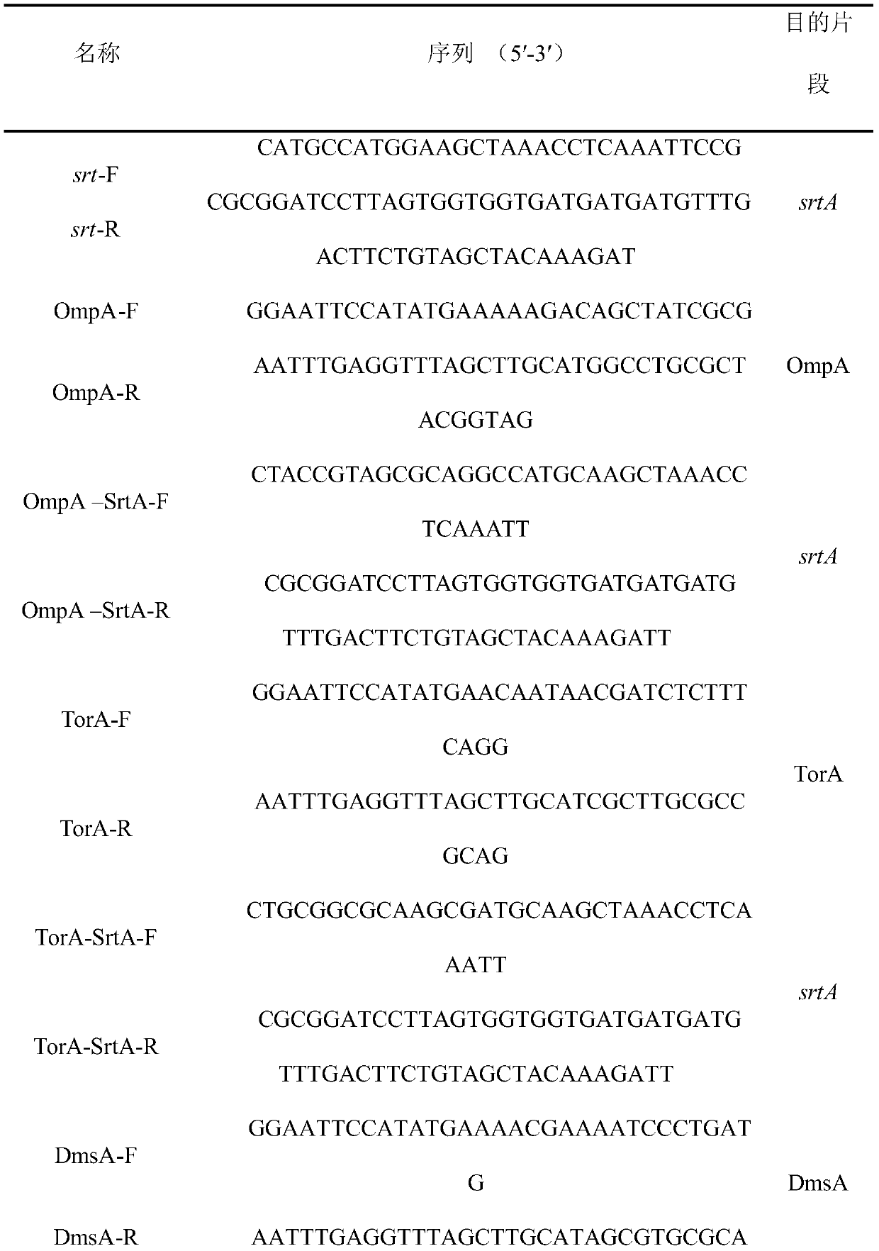 A method for constructing high-efficiency secretion and expression of transpeptidase sortase A in Escherichia coli