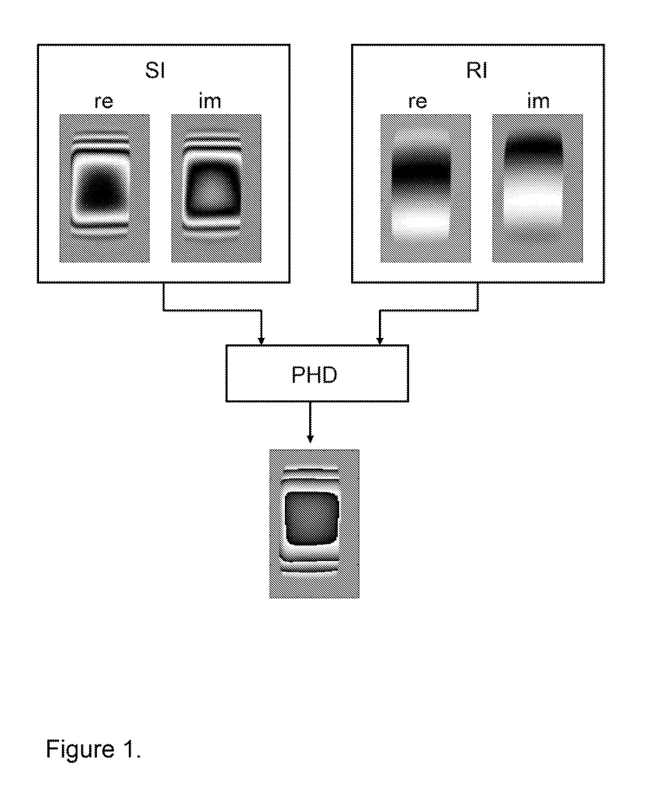 Method for mapping of the radio frequency field amplitude in a magnetic resonance imaging system using adiabatic excitation pulses