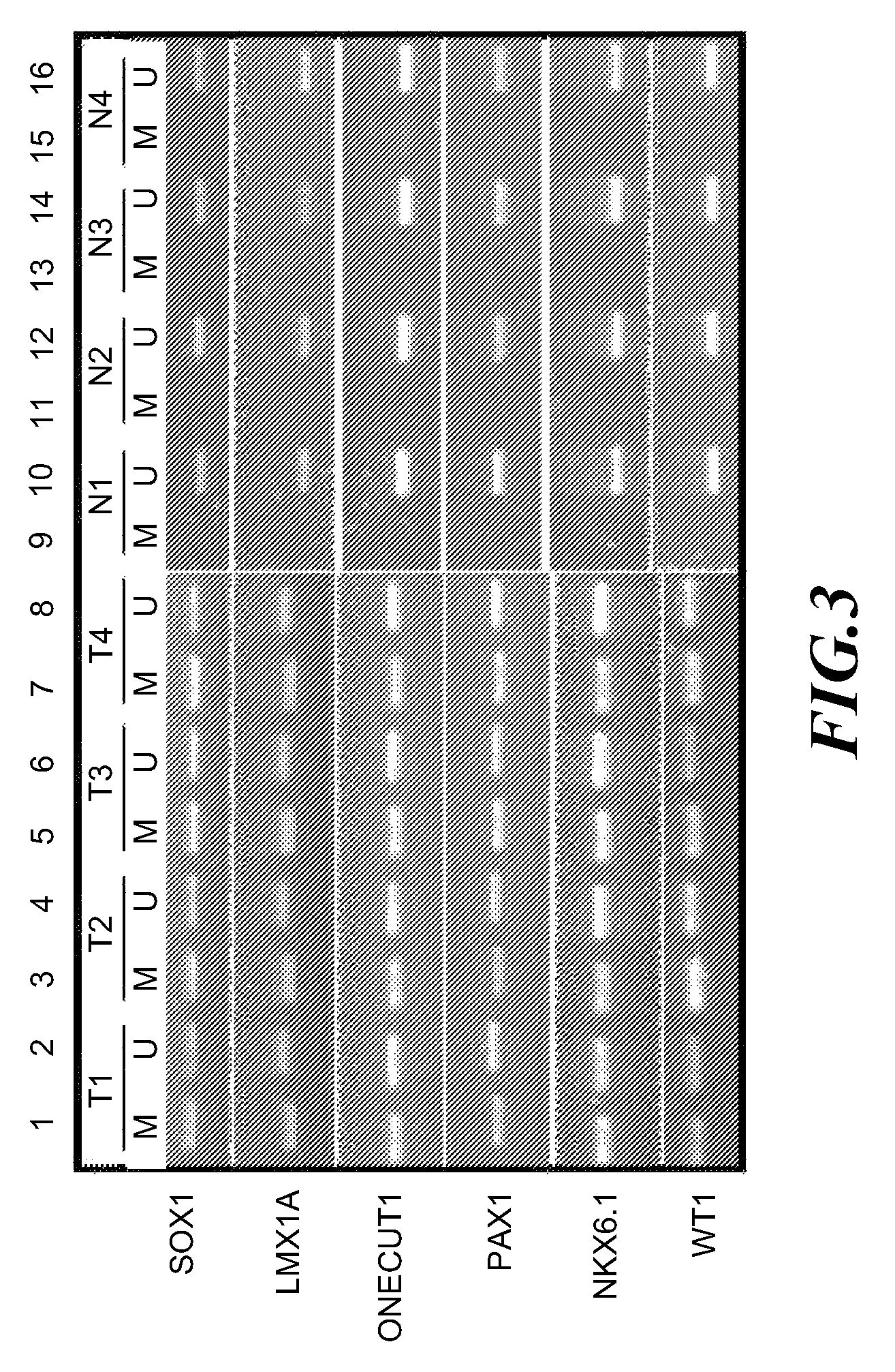 Cancer screening method