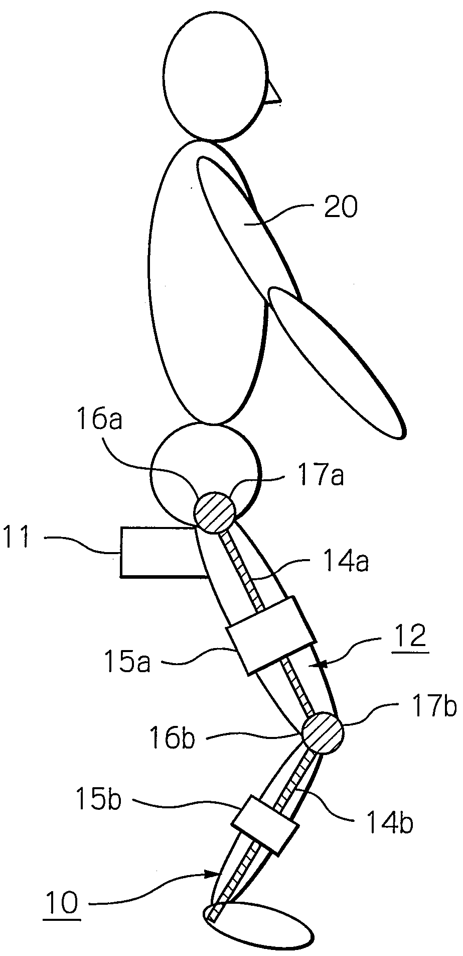 Apparatus and method for resistance-based muscular force evaluation using a hexagonal diagram of output distribution