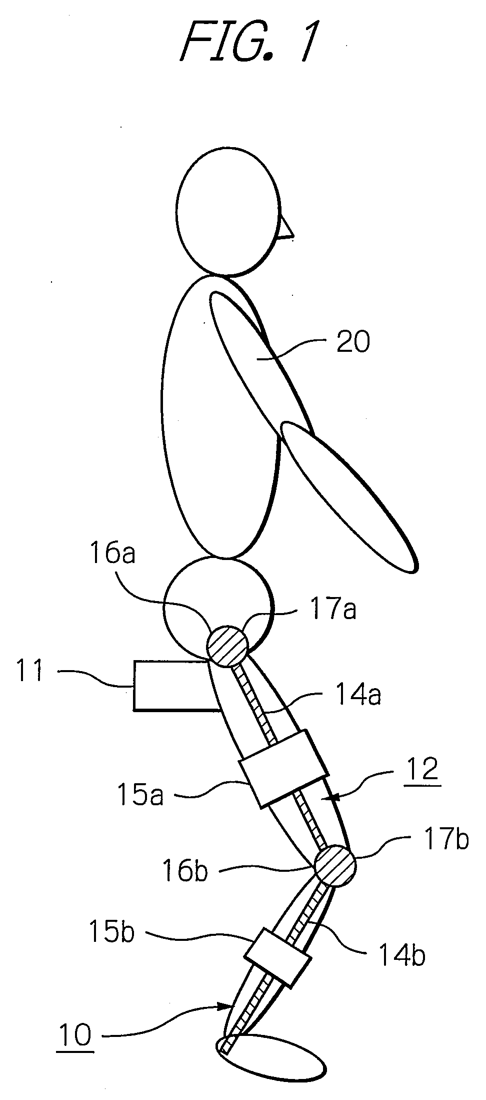 Apparatus and method for resistance-based muscular force evaluation using a hexagonal diagram of output distribution