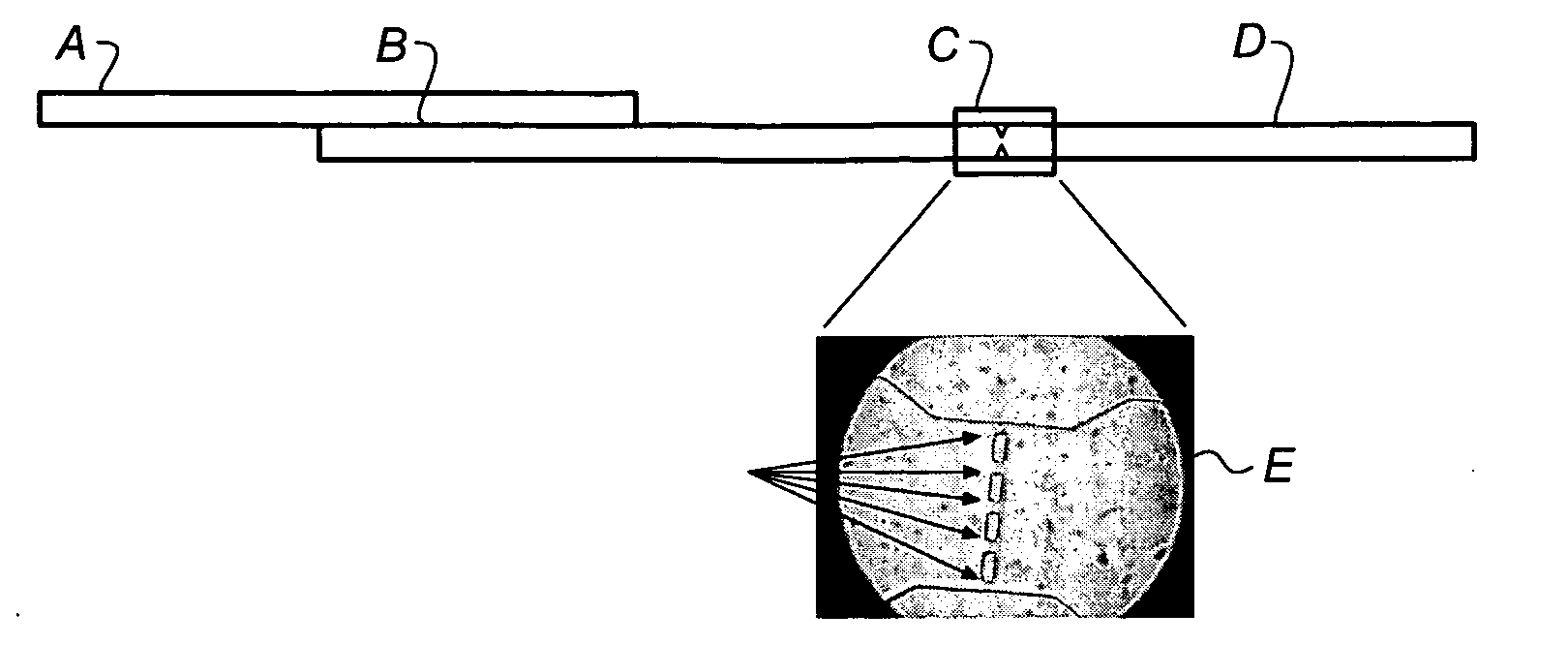 Method of preparing stimulus-responsive polymeric particles