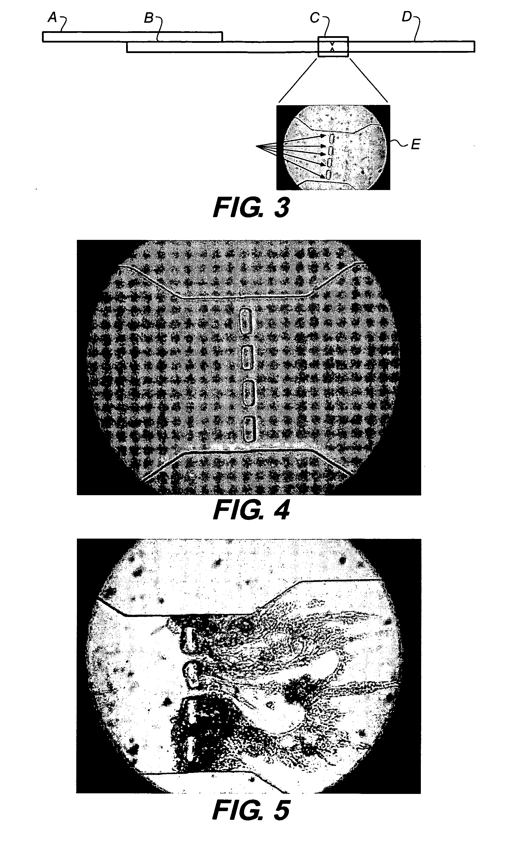 Method of preparing stimulus-responsive polymeric particles