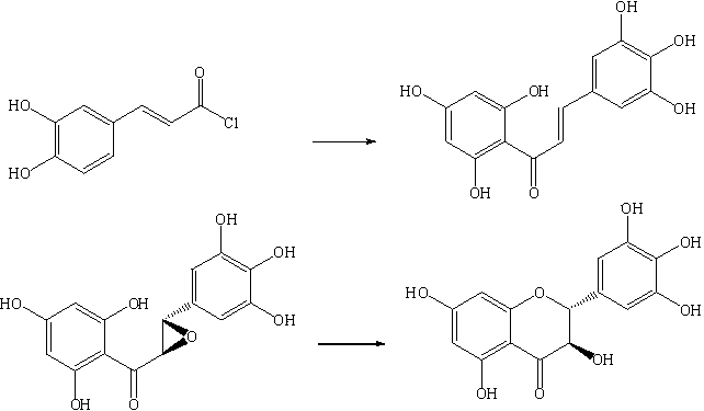 Synthesis technology of active natural product dihydromyricetin