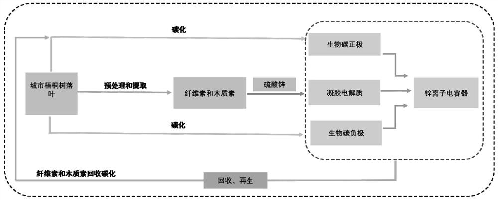 Method for preparing environment-friendly renewable zinc ion supercapacitor based on urban tree fallen leaves