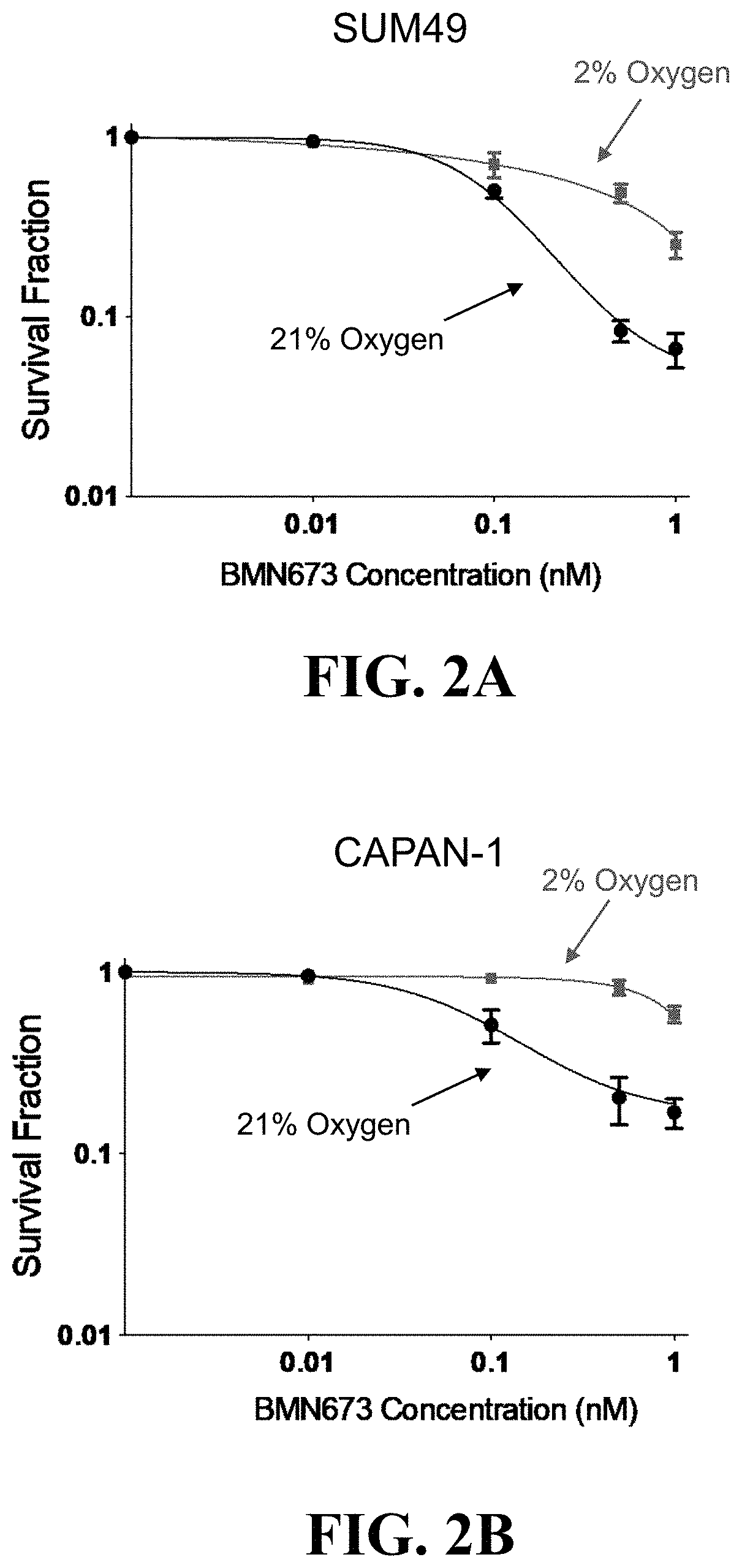 Hypoxia Targeting Compositions and Combinations Thereof with a PARP Inhibitor and Methods of Use Thereof