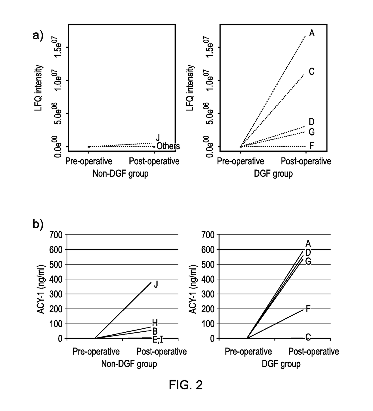 Use of ACY-1 as a marker of ischaemia/reperfusion, delayed graft function and graft viability as well as method thereof