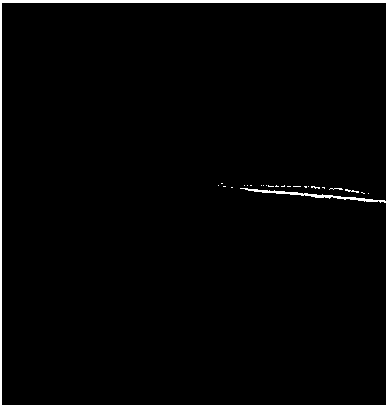 Preparation method of 3D porous nitrogen-doped graphene film electrode