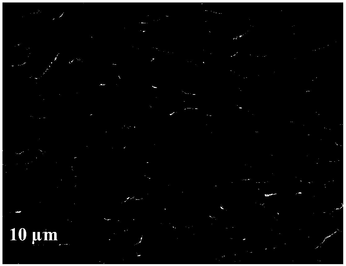 Preparation method of 3D porous nitrogen-doped graphene film electrode