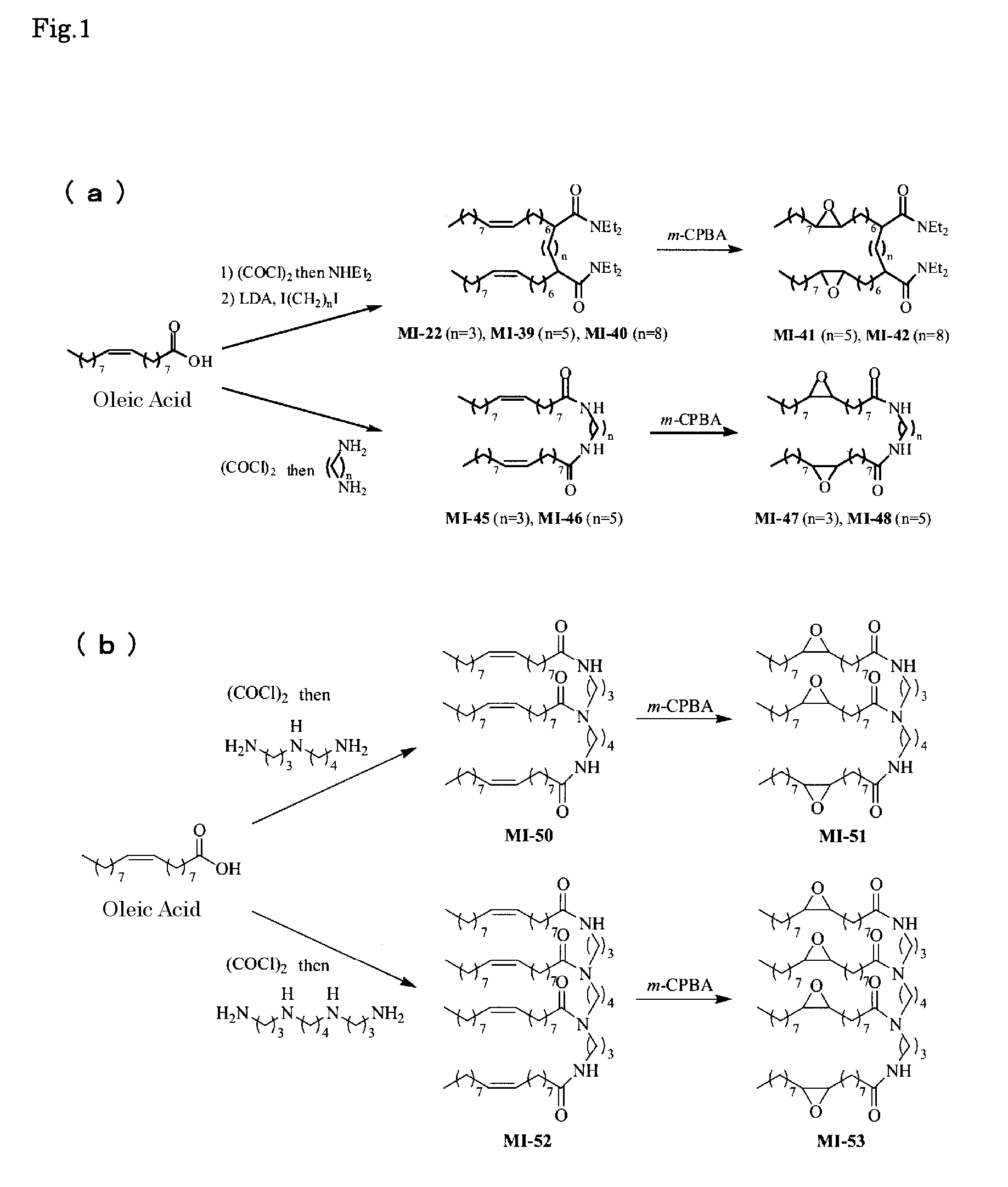 Multimeric oleamide derivative having connexin-26 inhibiting potency and use thereof in cancer therapy, etc