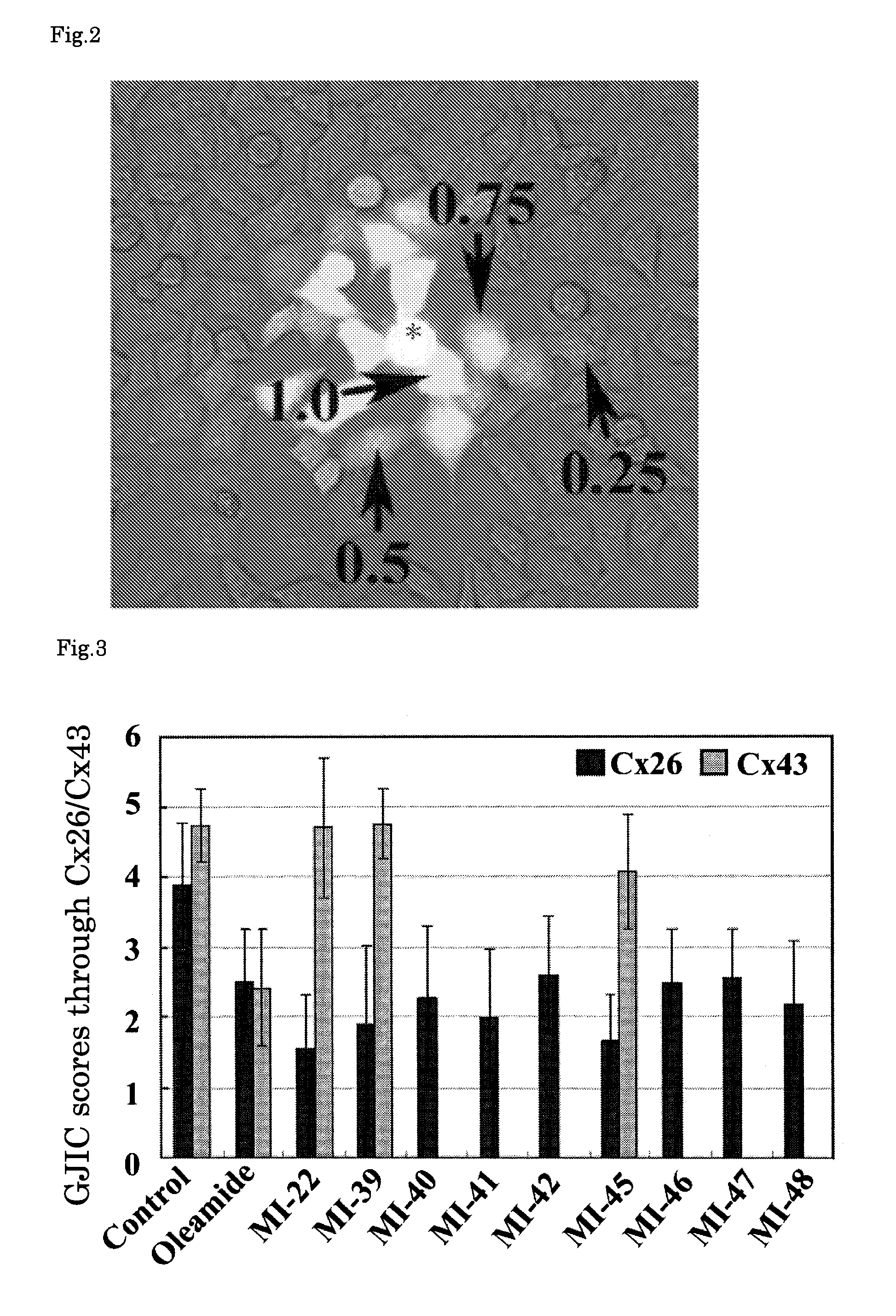 Multimeric oleamide derivative having connexin-26 inhibiting potency and use thereof in cancer therapy, etc