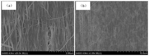 A kind of polyglycolic acid oriented nanofiber bundle and preparation method thereof