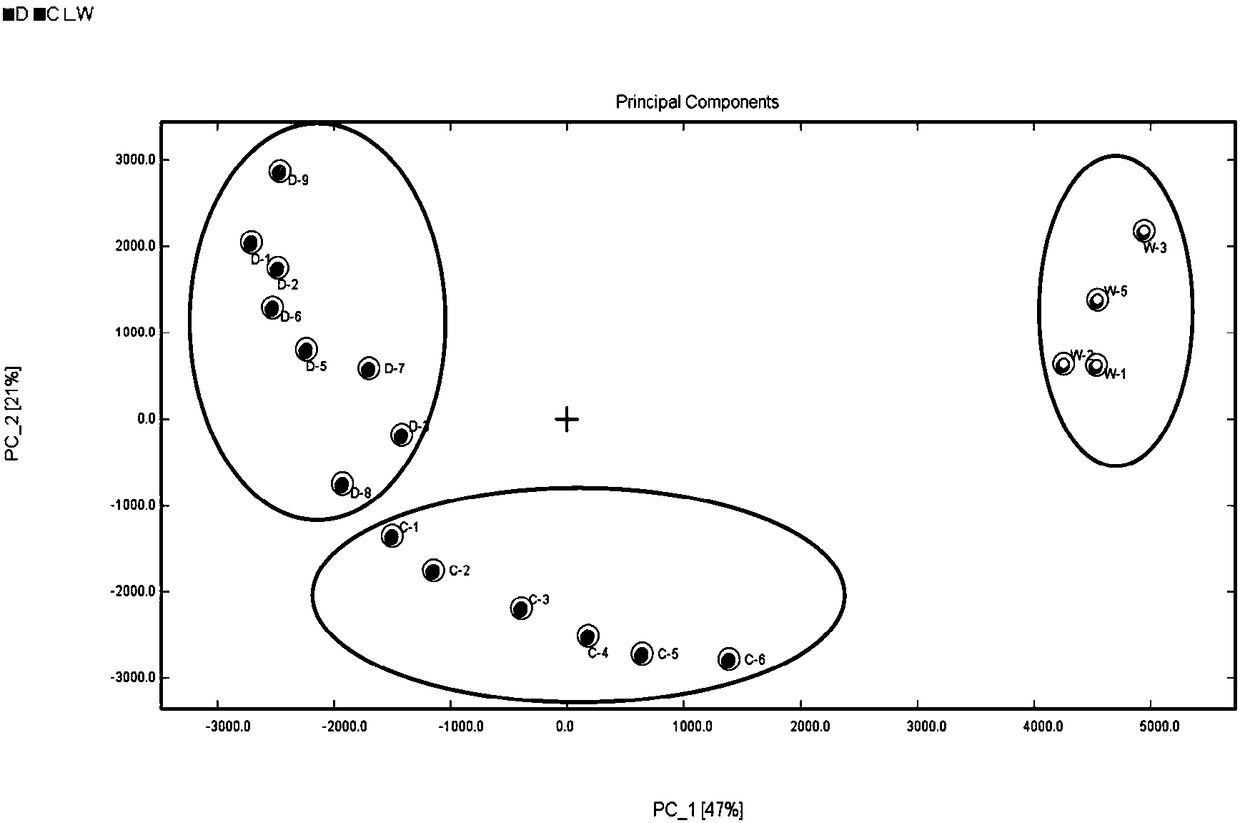 Classification method for winter honey and sapium sebiferum honey