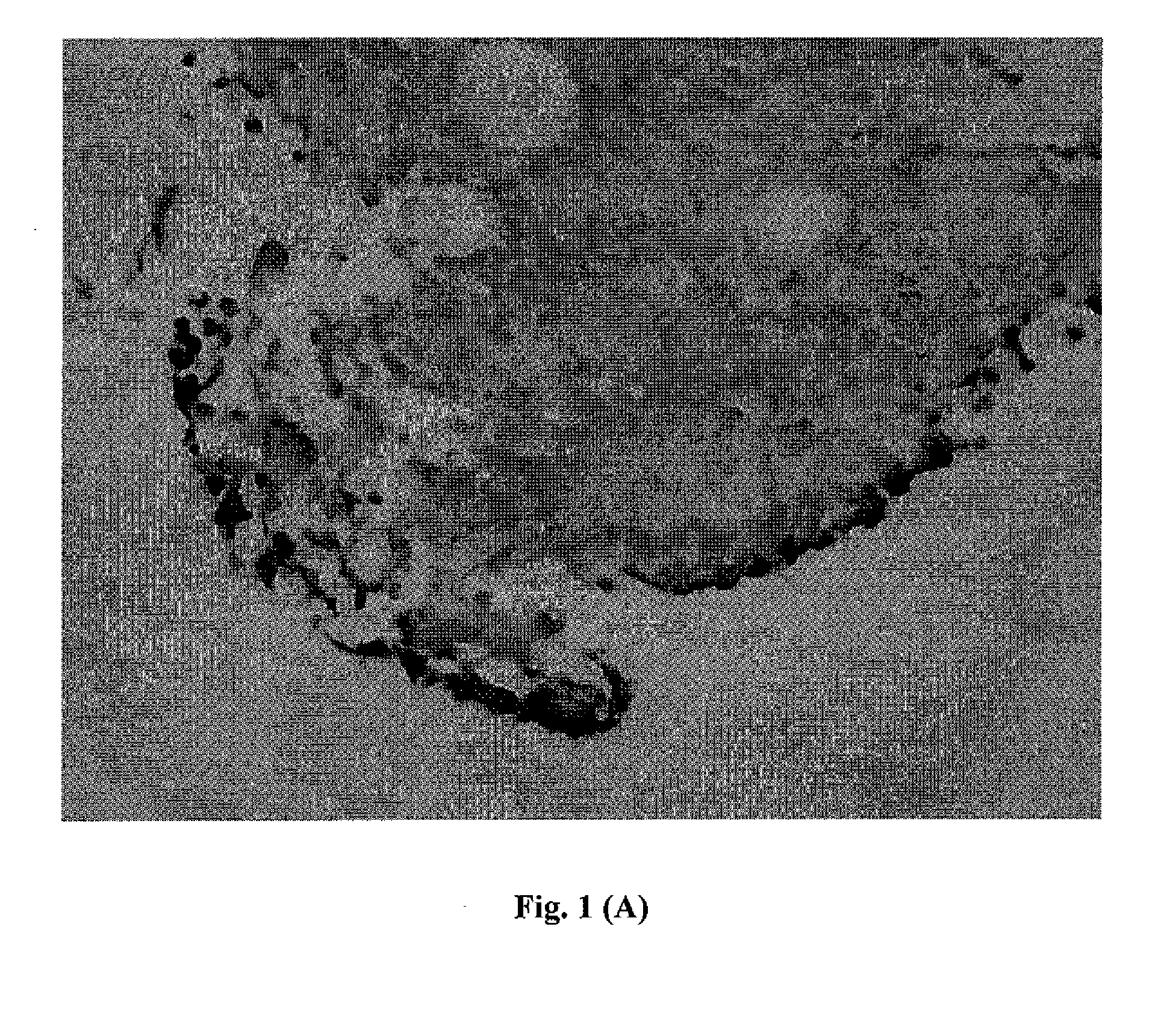 Detection of Unhealthy Cell and Uses Thereof