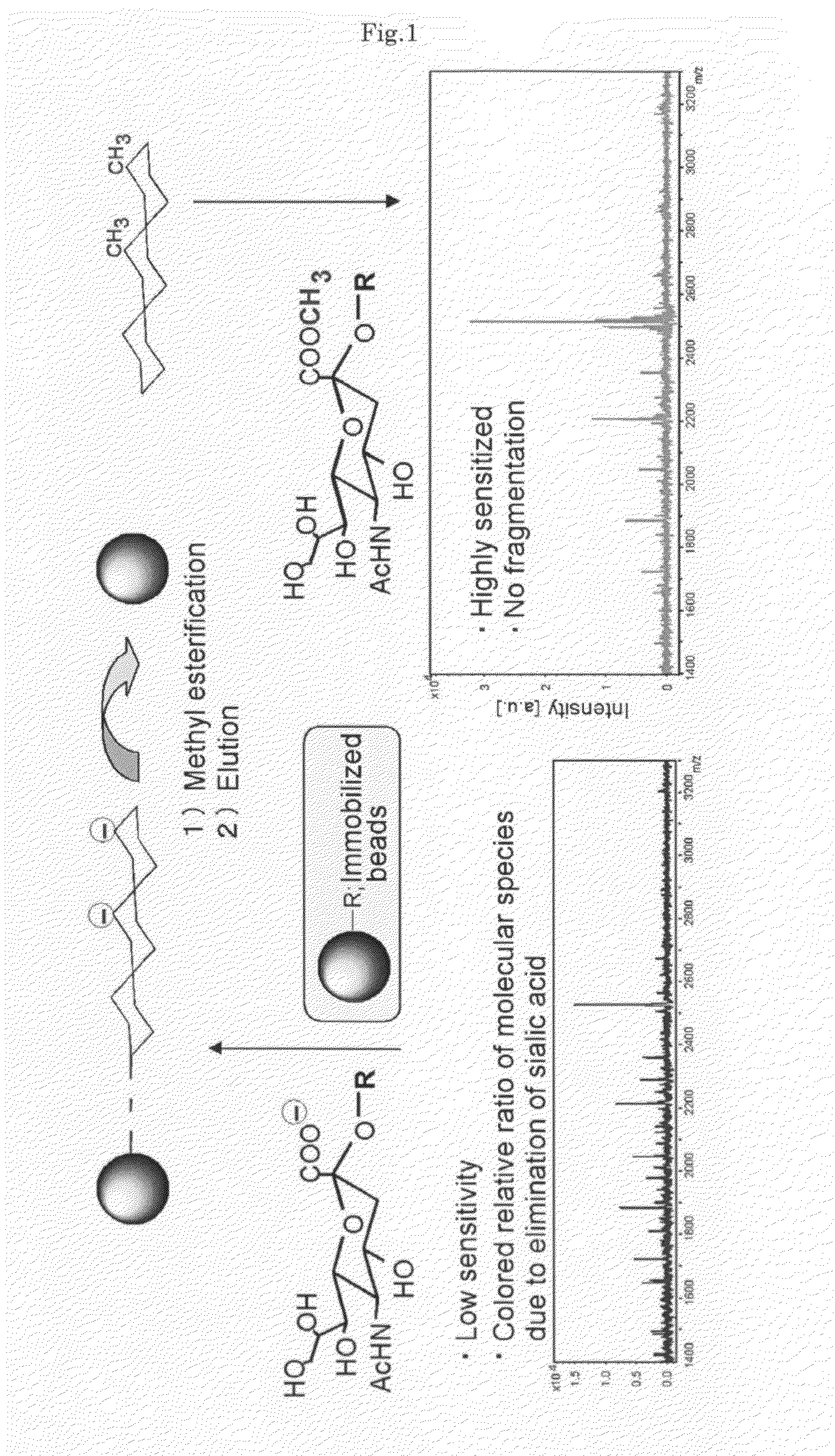 Method of Esterifying Bio-Related Molecule for Mass Spectrometry and Method of Mass Spectrometry of Obtained Esterified Derivative