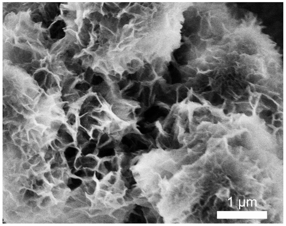 A kind of nitrogen-doped graphdiyne riveted transition metal single-atom catalyst and its preparation method and application