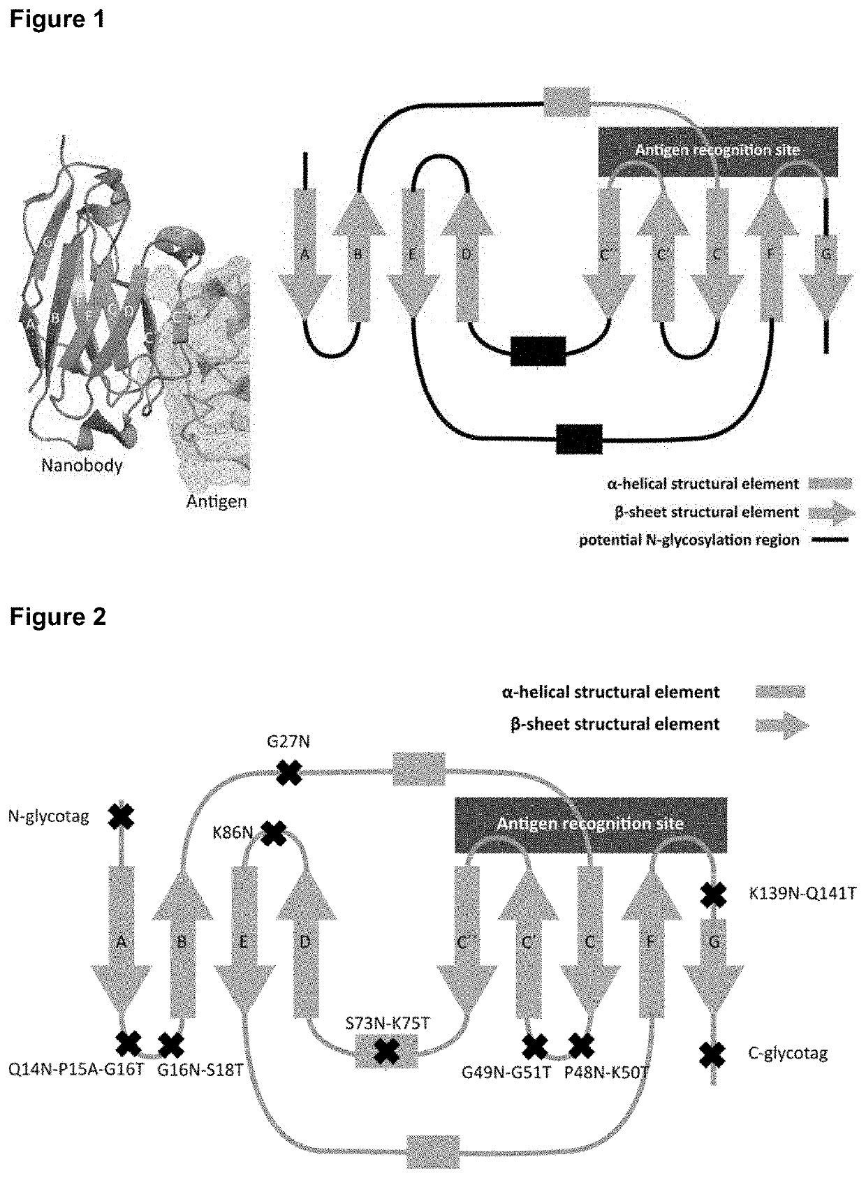 Glycosylation of variable immunoglobulin domains