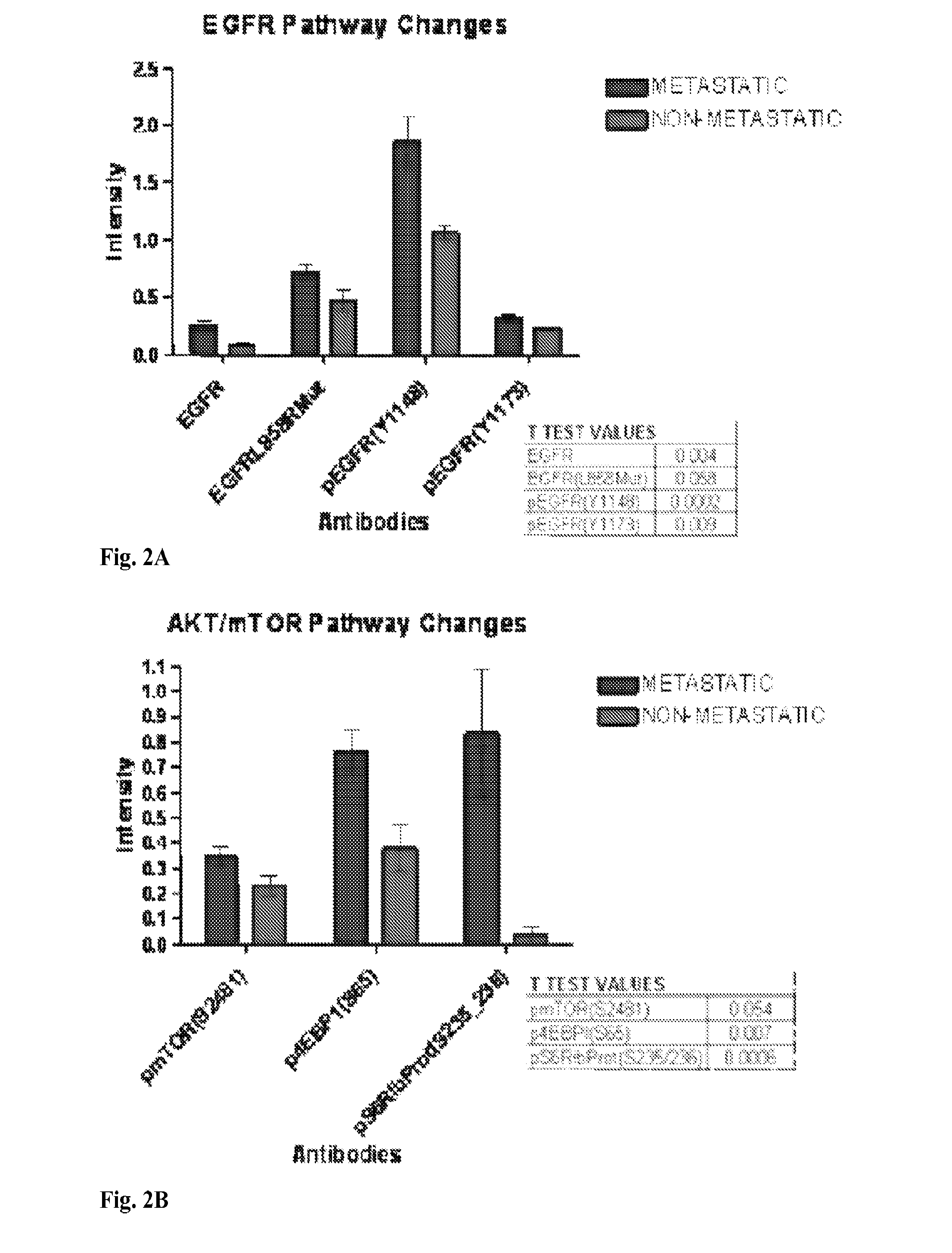 Signal pathway alterations and drug target elevations in primary metachronous metastatic colorectal cancer compared to non-metastatic disease