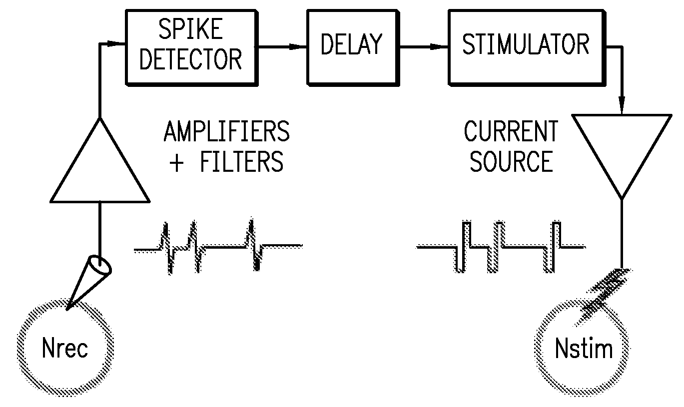 Method and device for strengthening synaptic connections